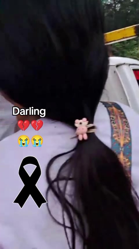 @☕🐢🖤Hercules(FH)🖤🪡🥷