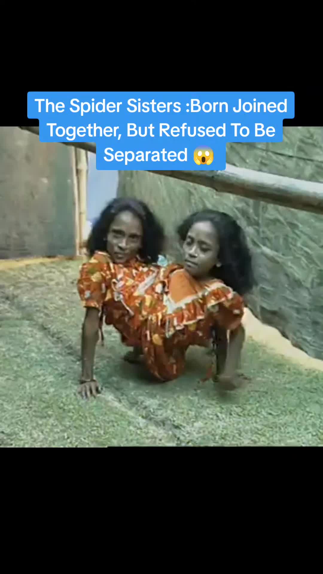 @🌏Facts Amazing🌍