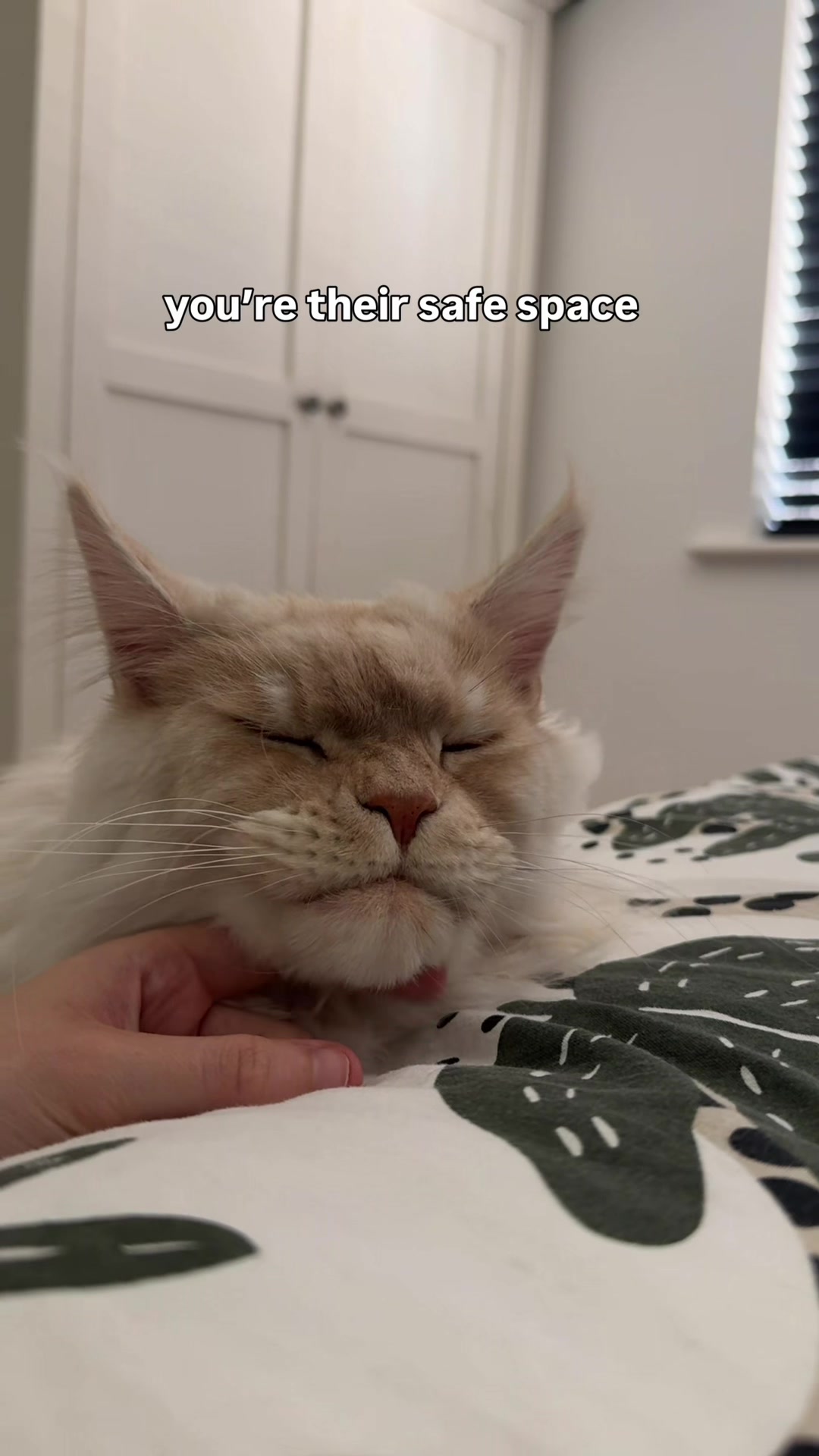 @lola_and_popps