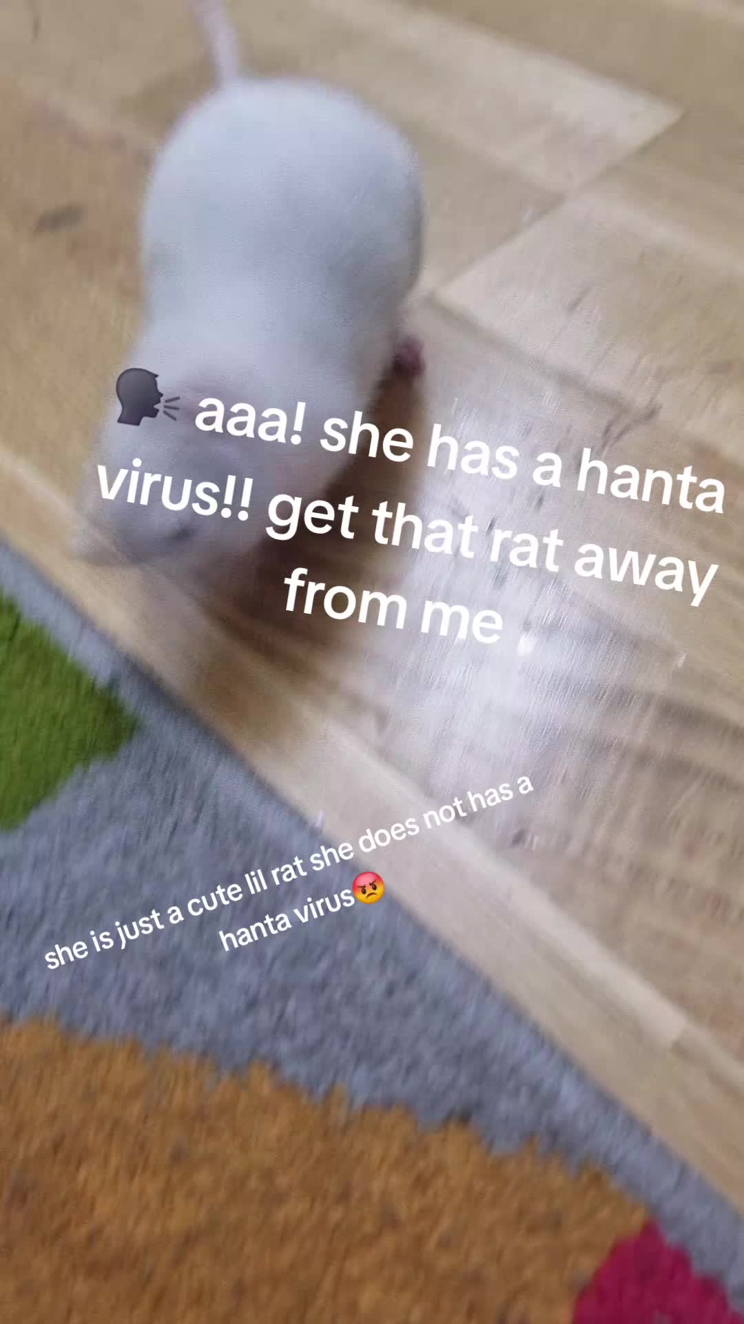 @Tiktokerrr