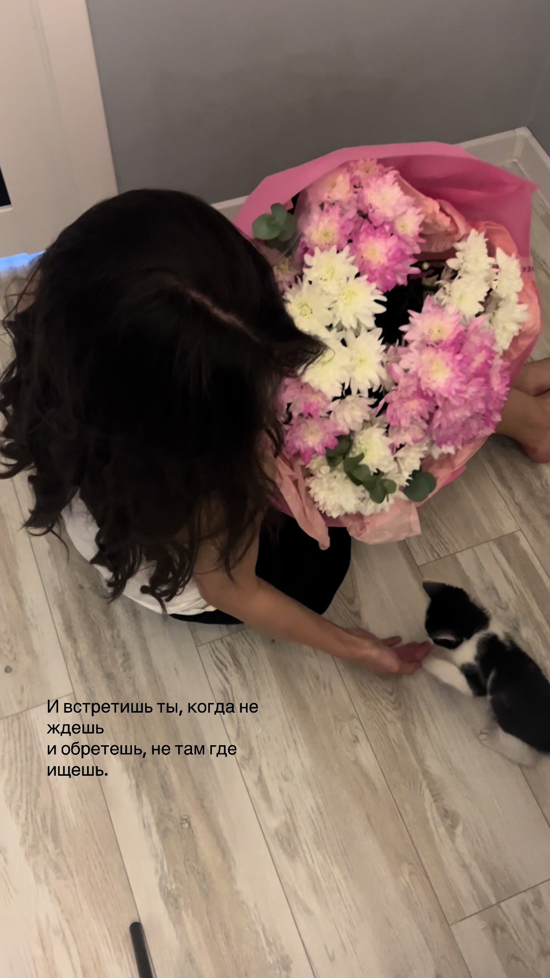 @as1ya.i
