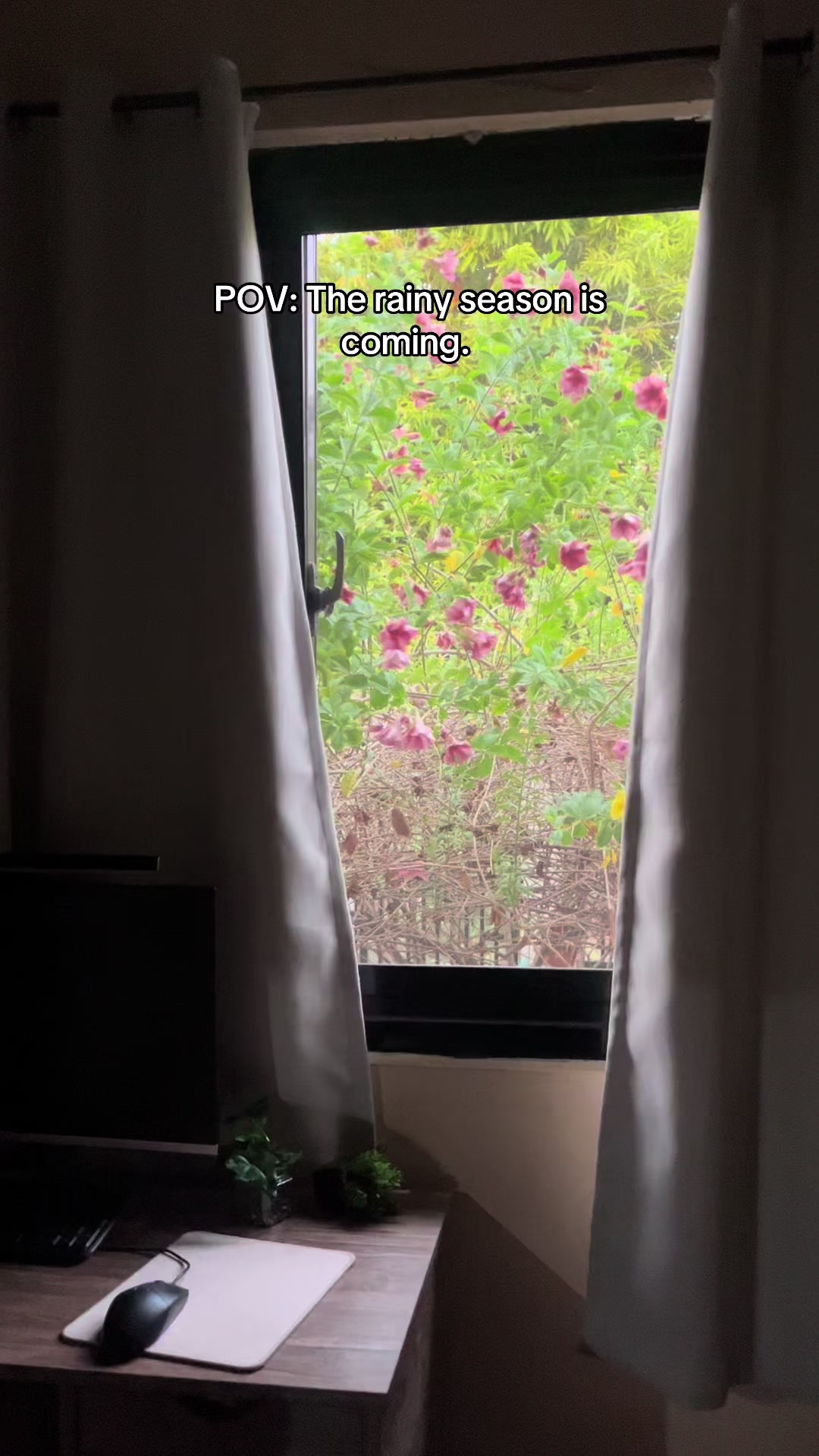 @𝓙𝓮𝓷 🌼