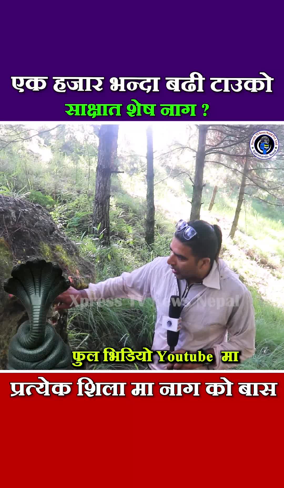 @xpress tv news nepal