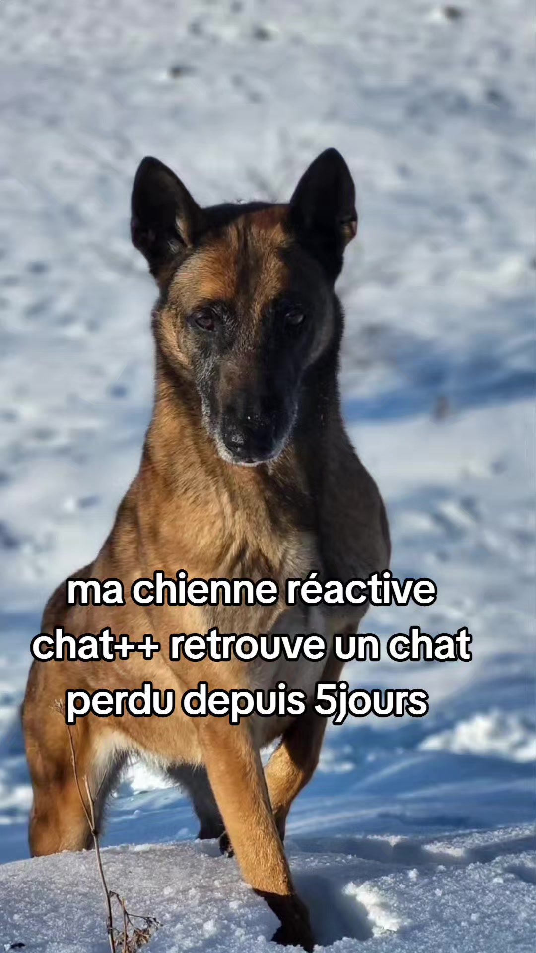 @La.petite.ferme