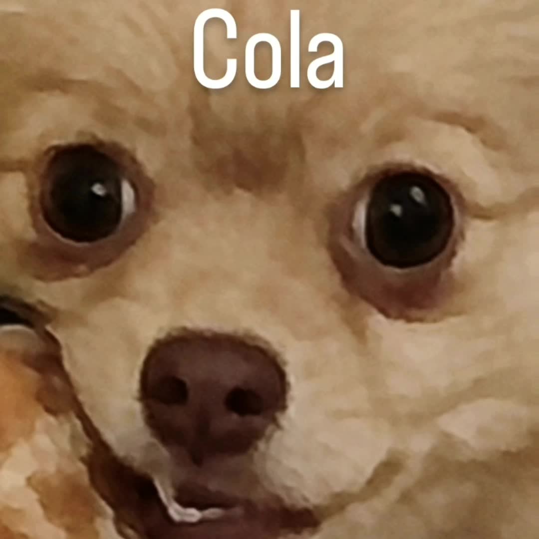 @PeekABowo