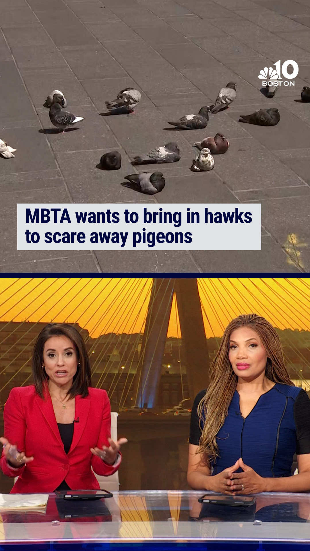 @NBC10 Boston