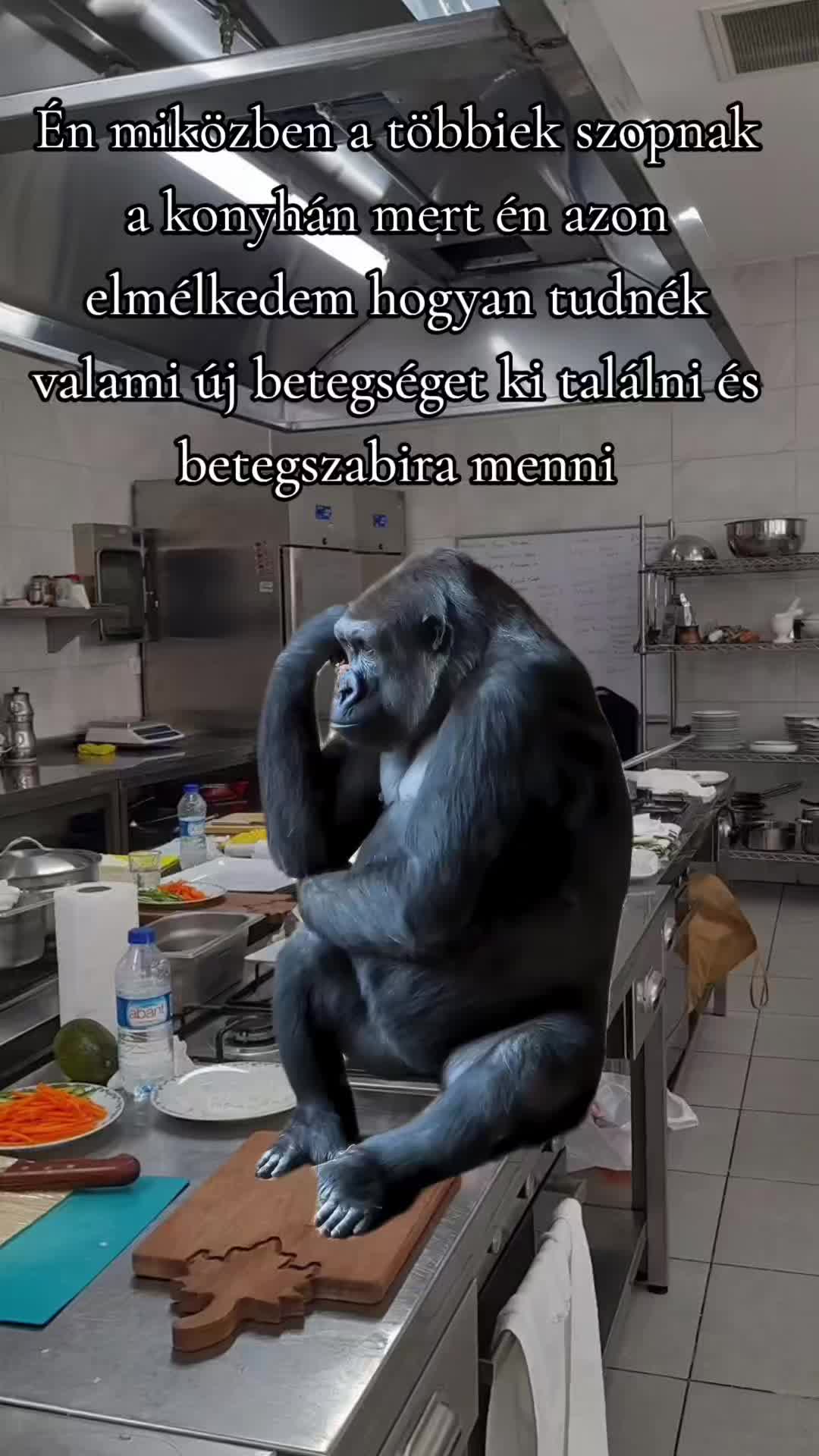 @Istu
