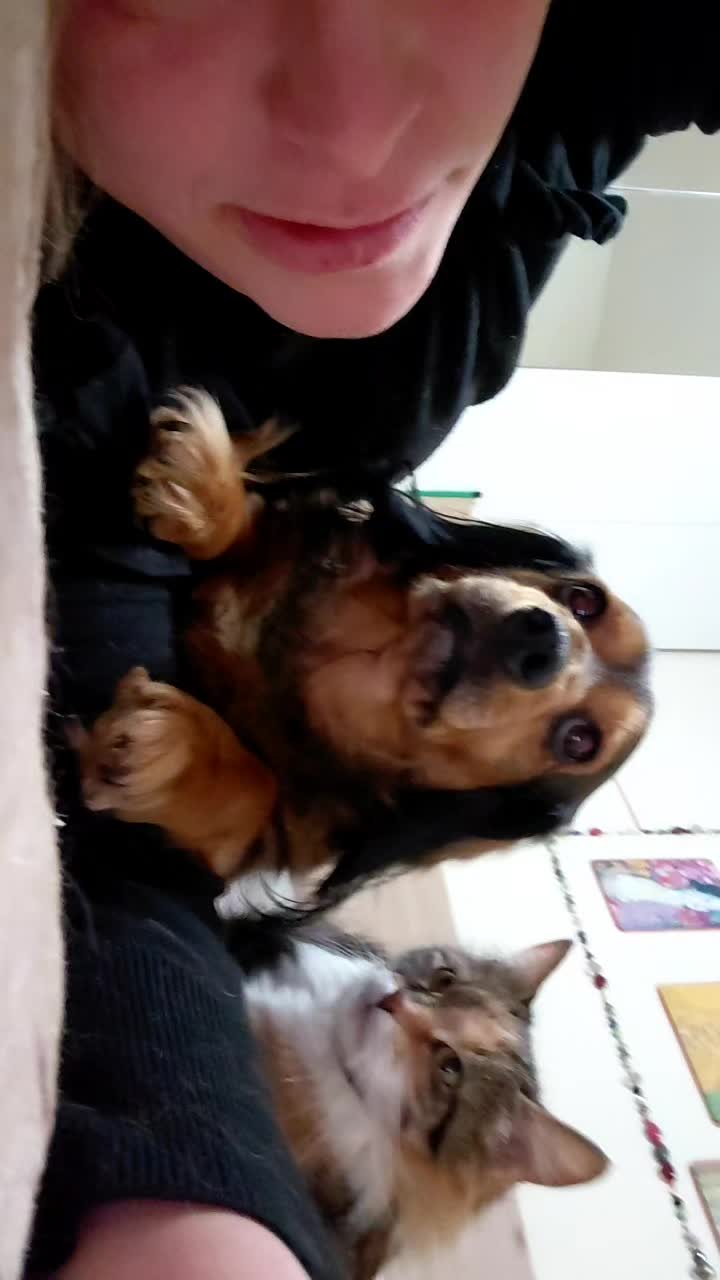 @Elisa🐶Ronda