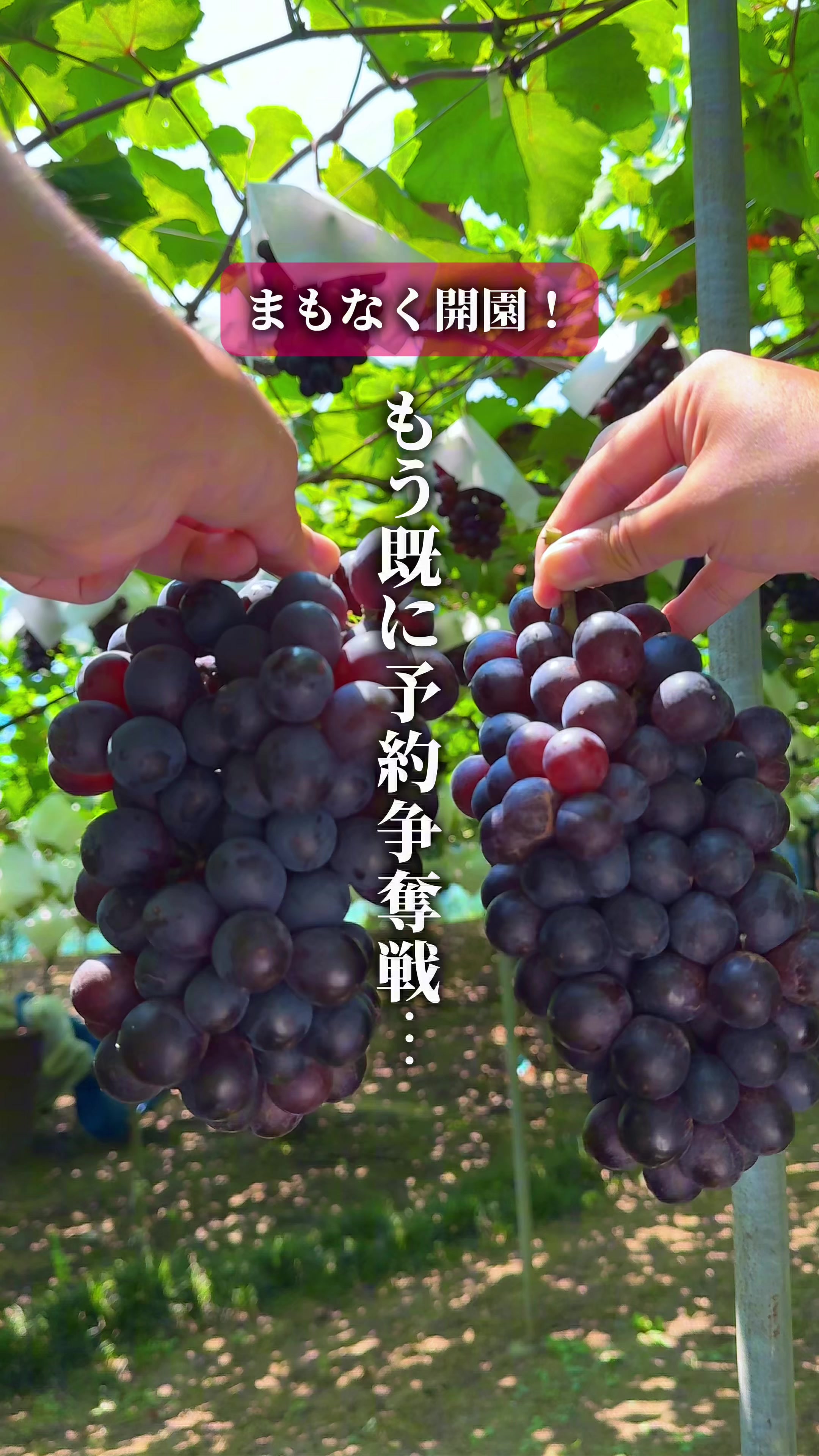 @ひろと / 大阪発!関西トレンド独占旅🔥