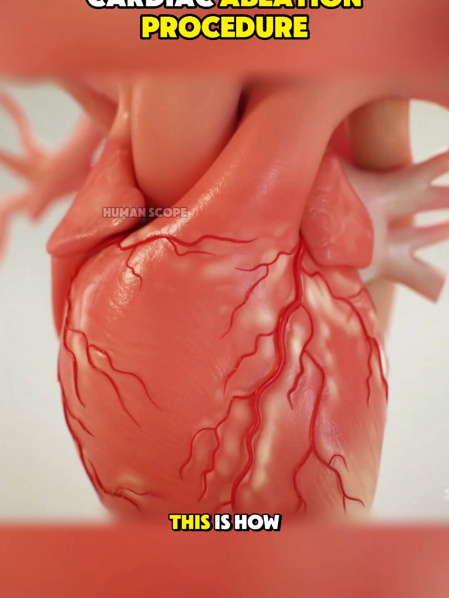 @HumanScope