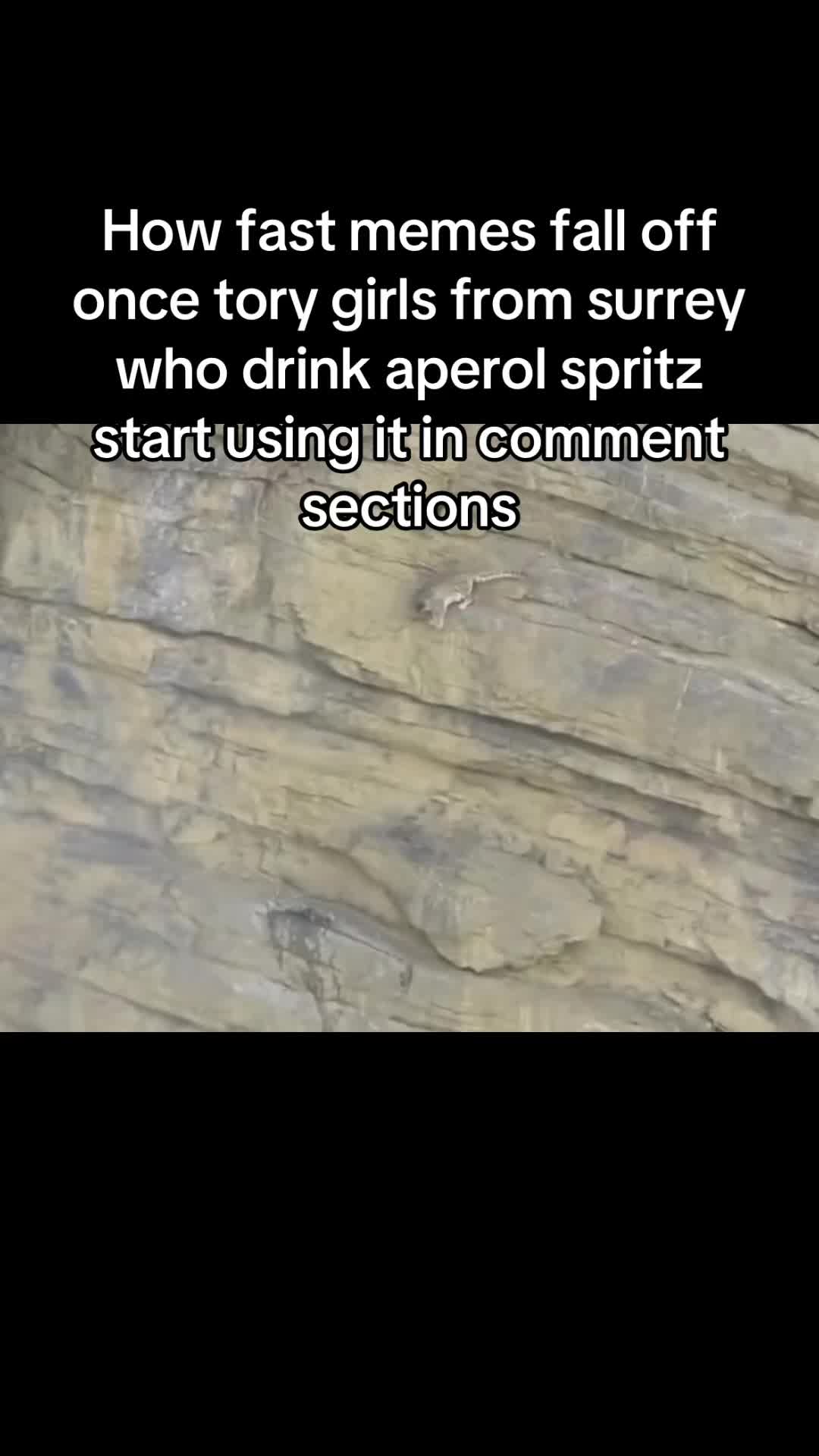 @noah5629