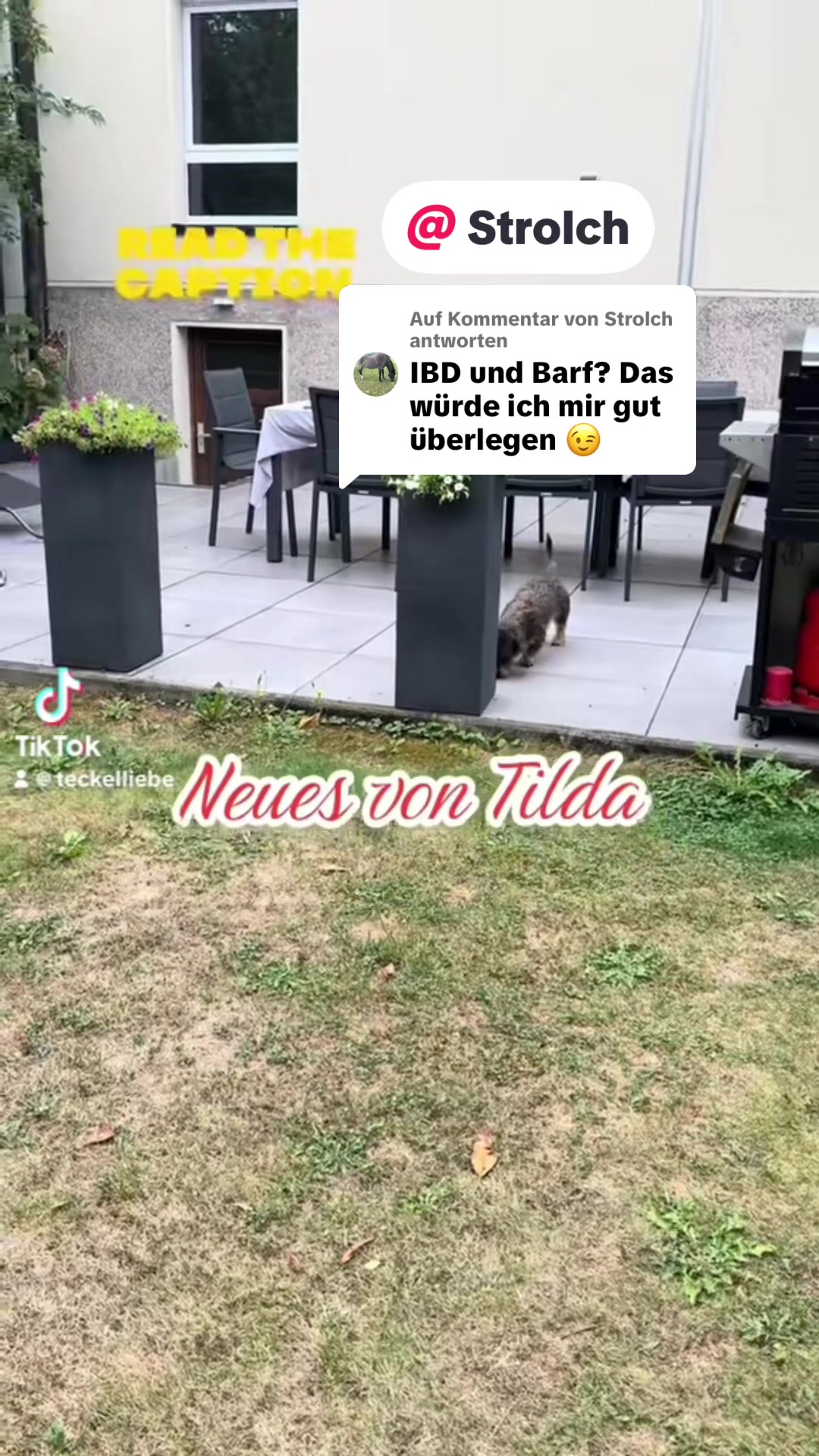 @Ichschützekinderundtiere