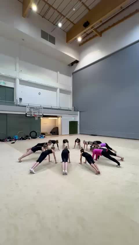 @Elise Gymnastics