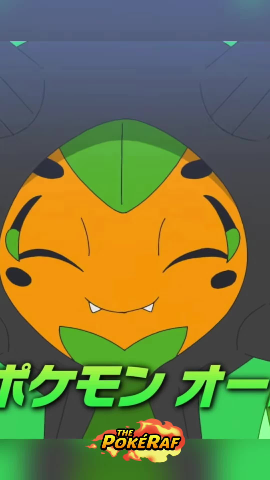 @ThePokéRaf
