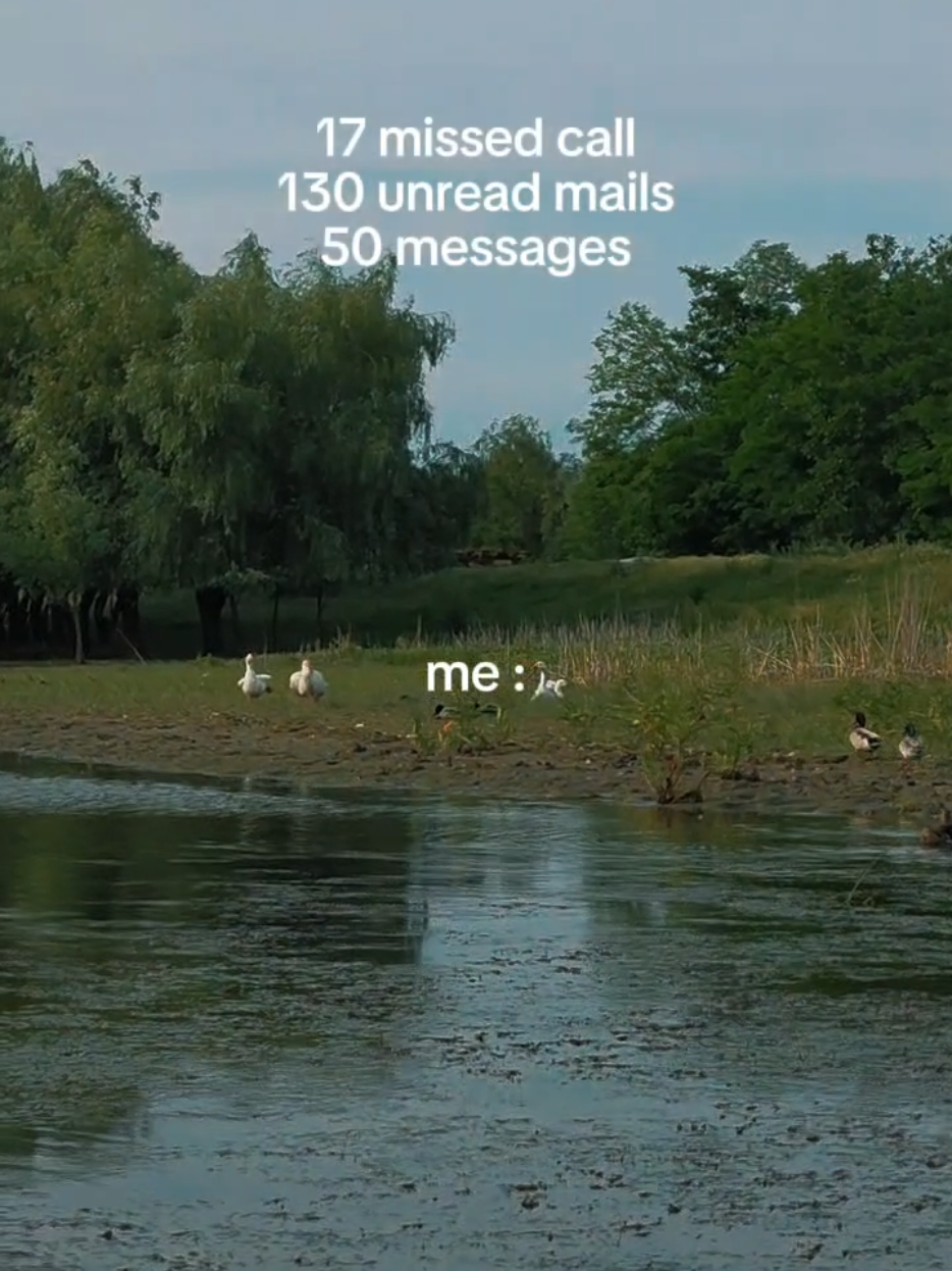 @ComplexPestisorulSiPelicanul