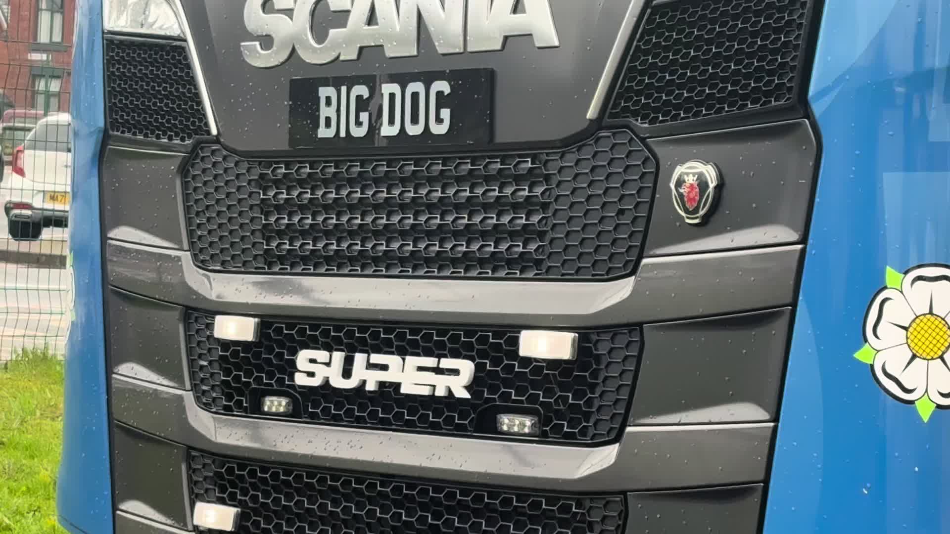@bigdogmillsv8