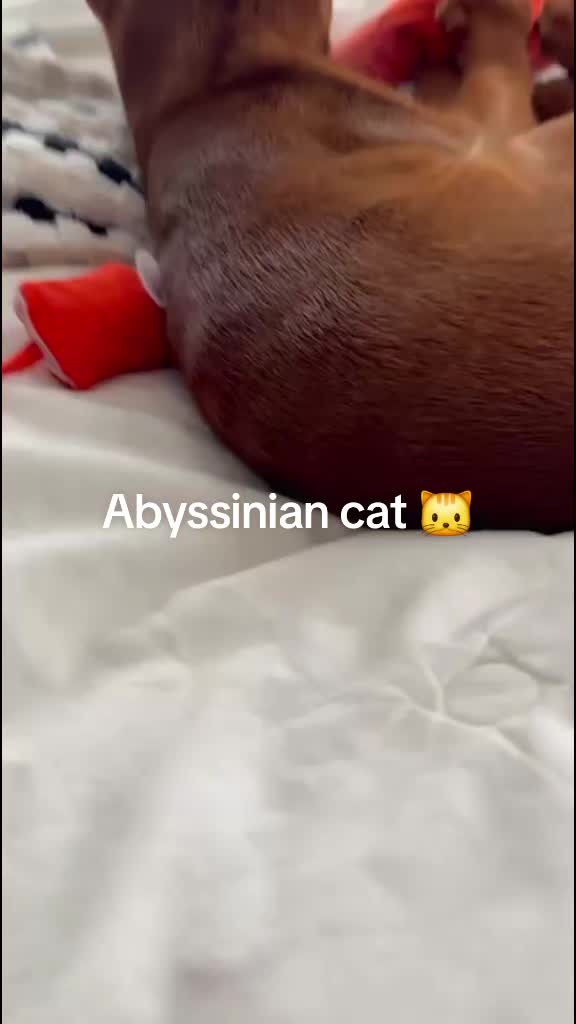 @🇱🇻Aleksandrs Morozovs