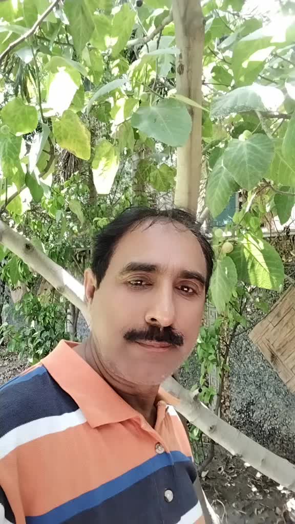 @M Nazir