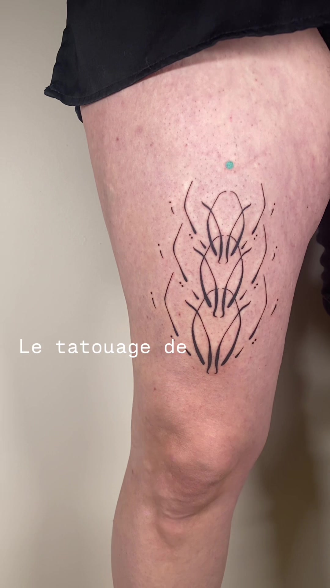 @Mushi_Tattoo