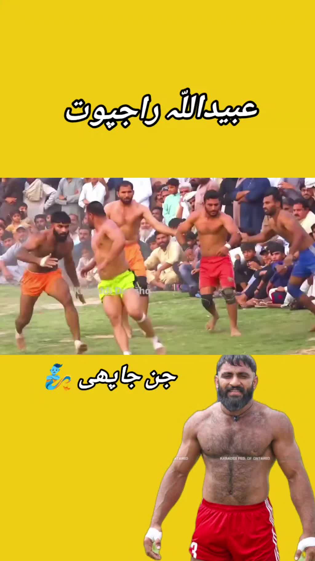 @Shokat Sapa ala 🐍