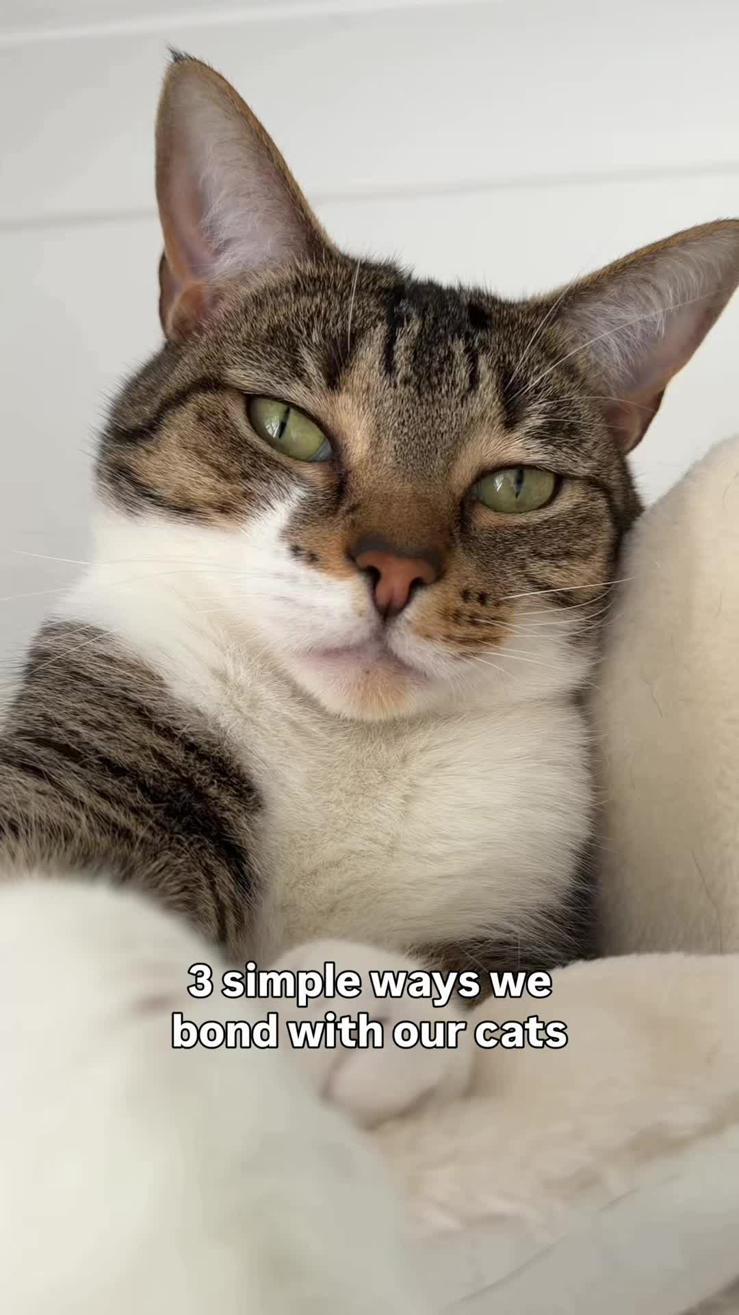 @lola_and_popps