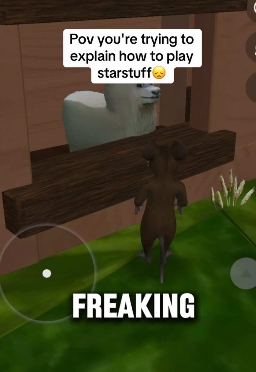 @starstuff.space