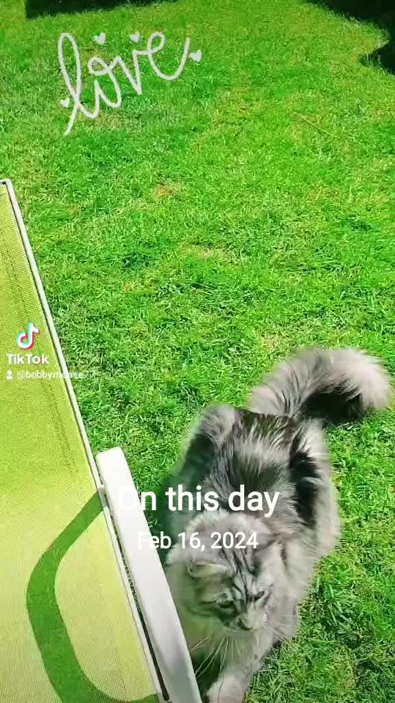 @ZiggyandMarley