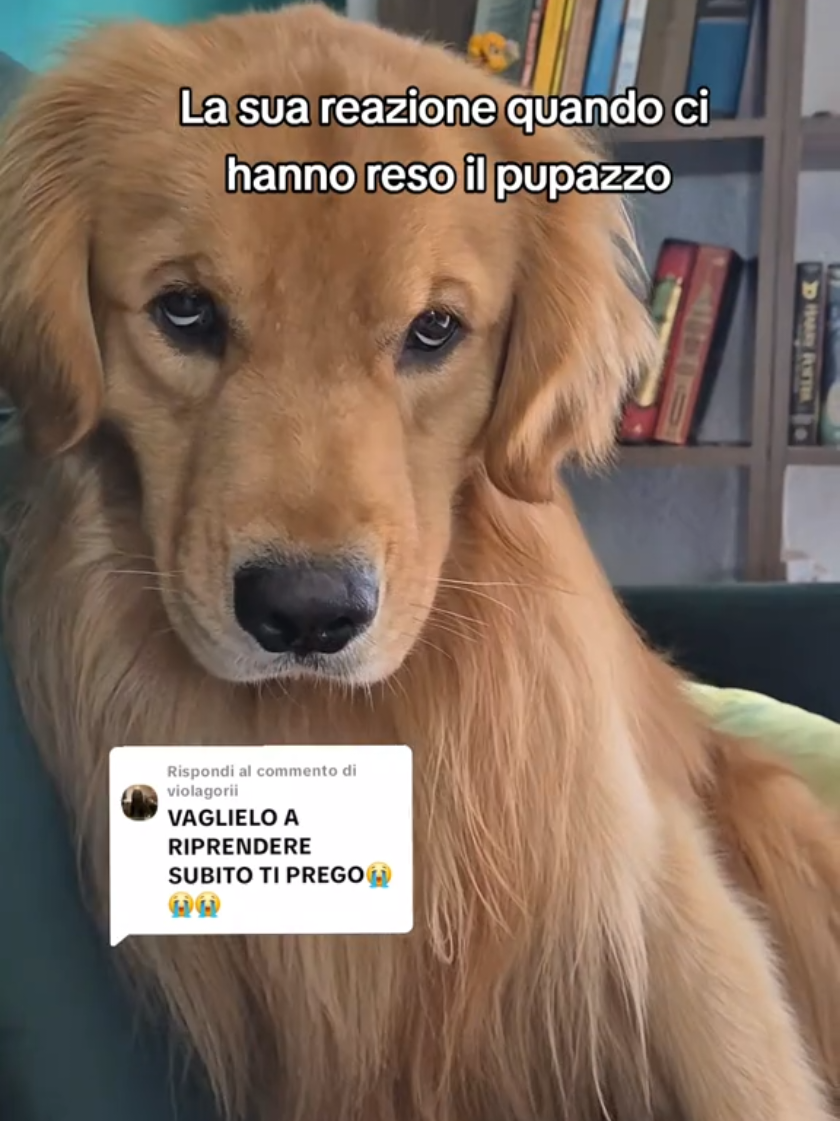 @Claudia Concas