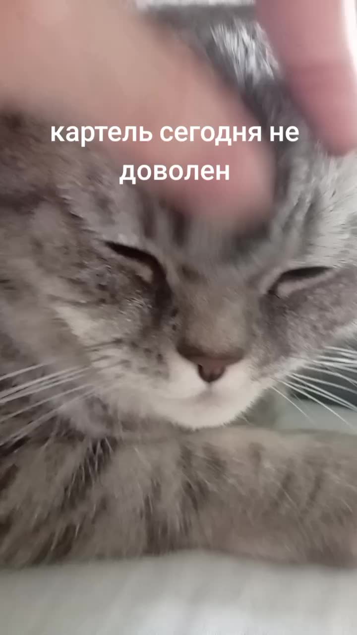 @Великий всепоглотитель