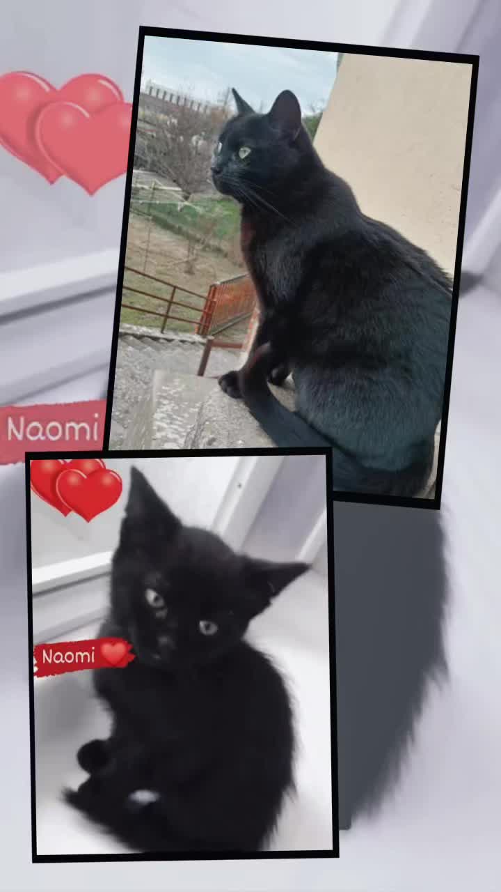 @Emy ❤️Morgan❤️Naomi❤️