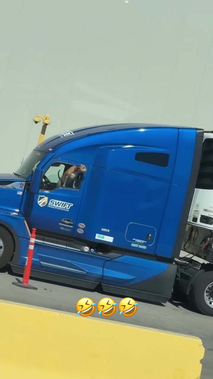 @Jaspreet k🚛♥️