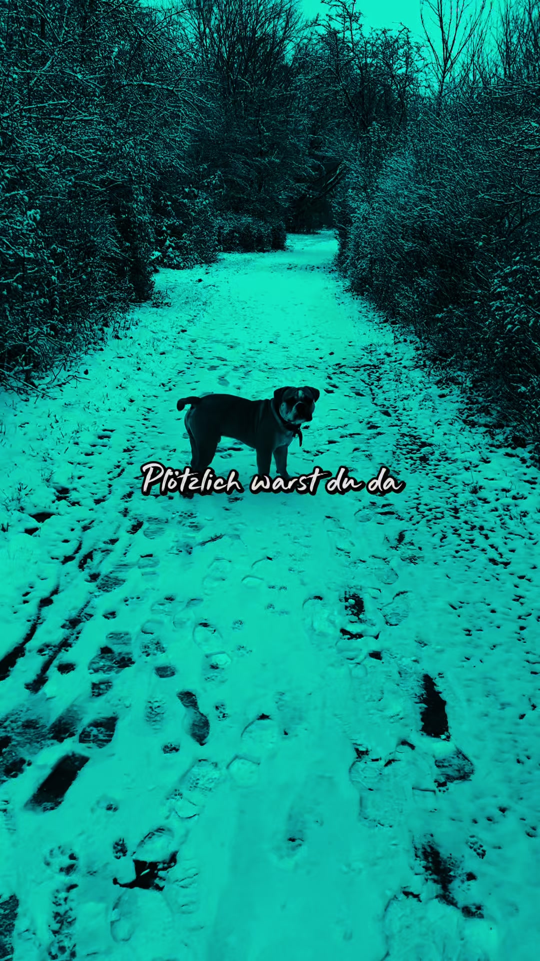 @Mogli🐾