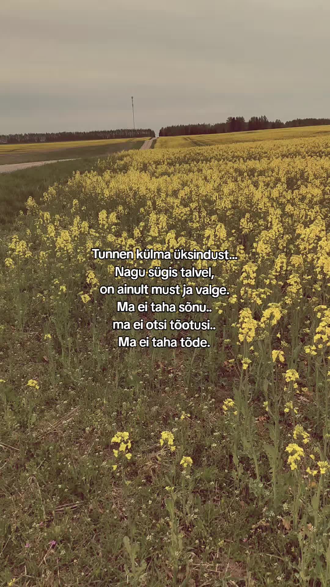 @M.Tsoi.fp