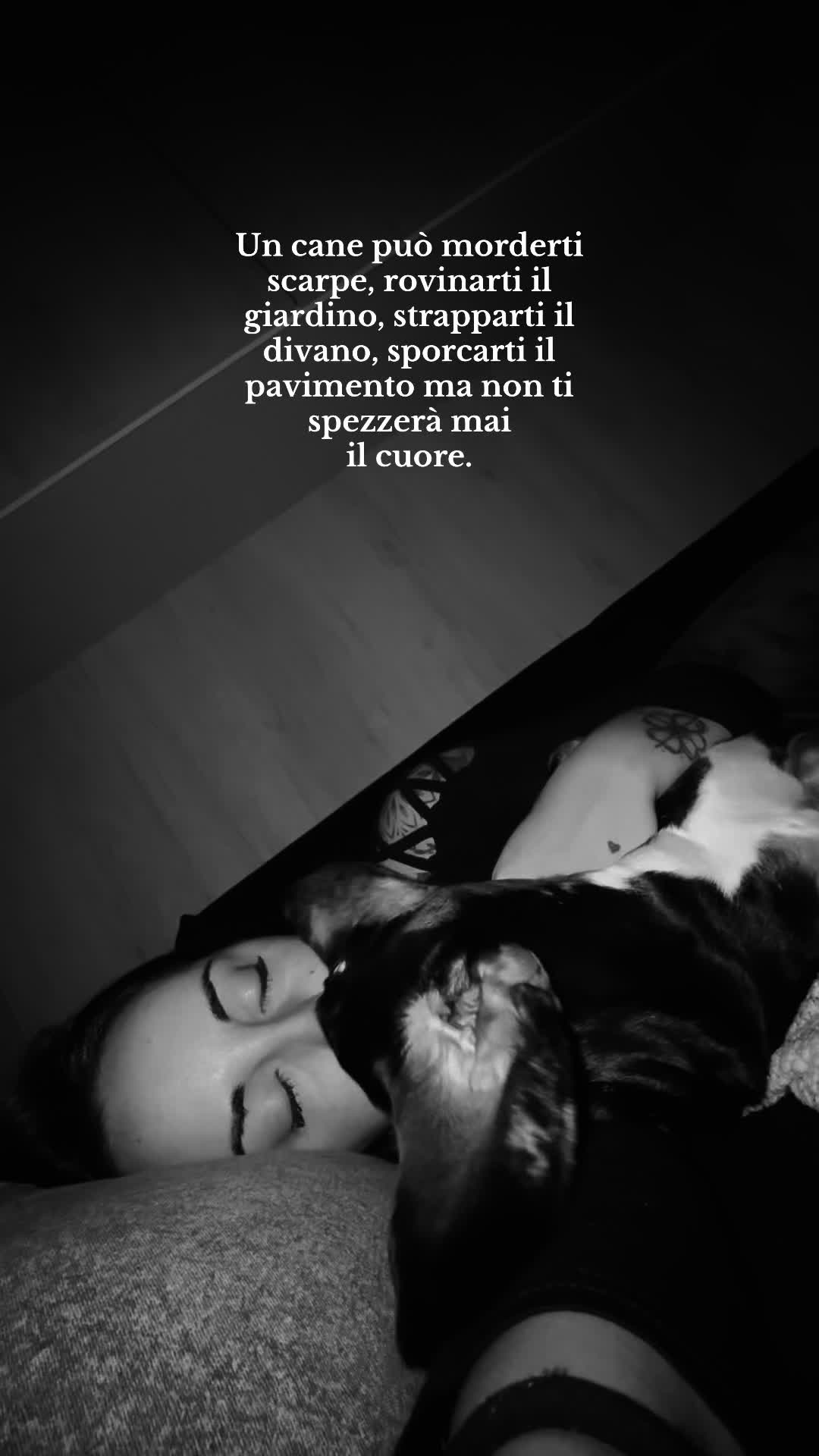 @Lele🌙