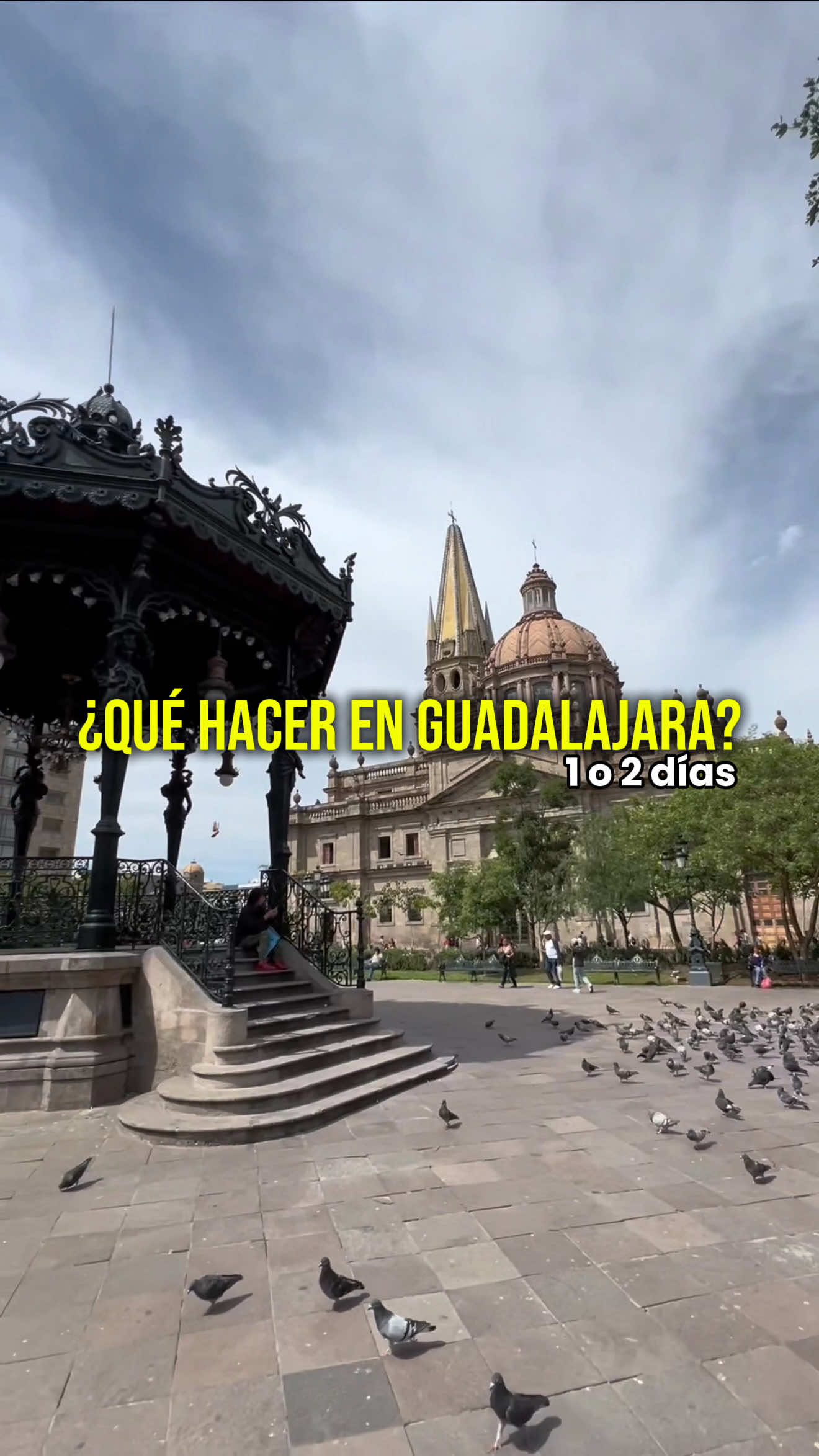 @Edwin Rosales 🇲🇽