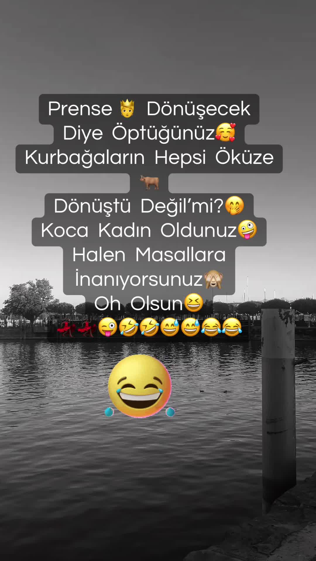 @✨🤍Ayliz_S🤍✨