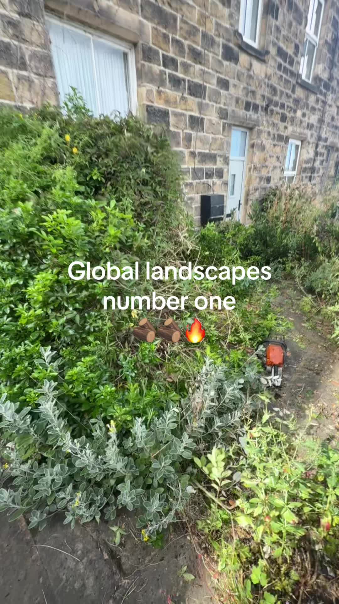 @global landscapes