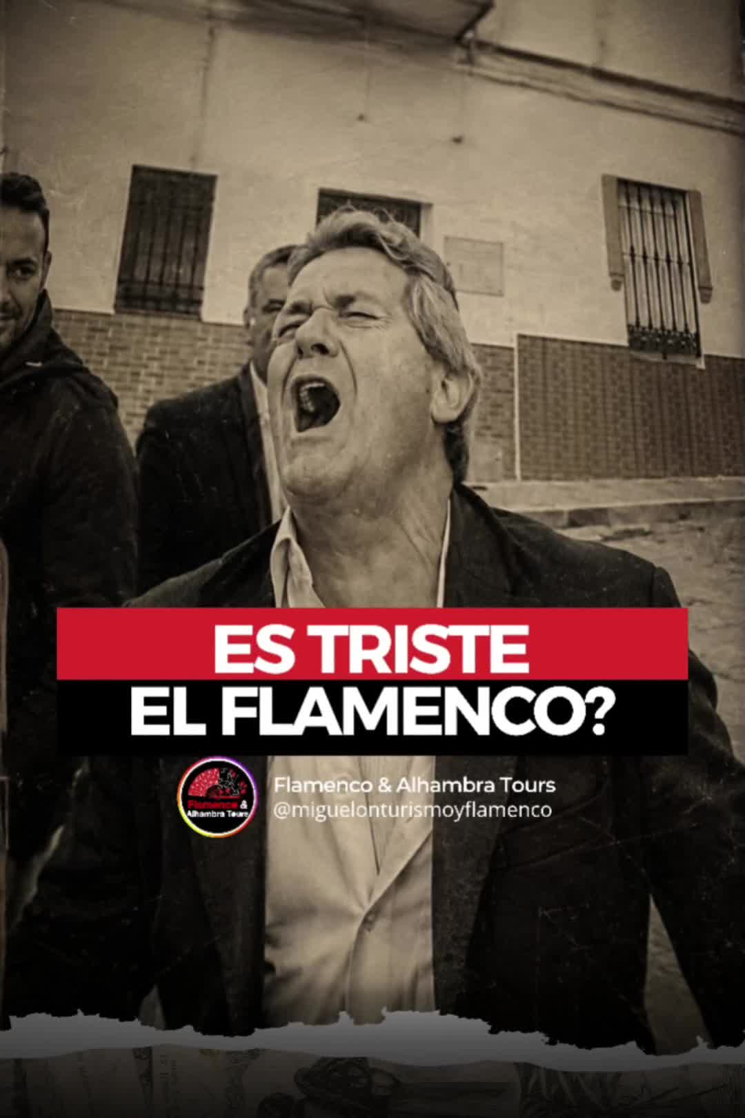 @Flamenco & Alhambra Tours