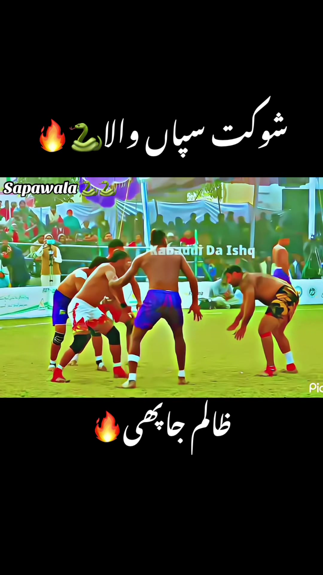 @Shokat sapa wala 🐍🐍