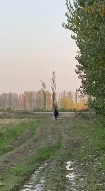 @tugunpolotov_500