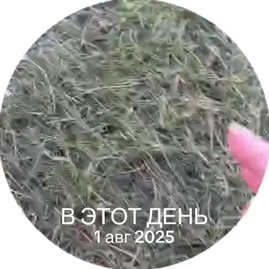 @яся я