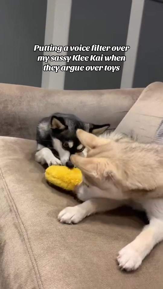 @lifewithkleekai