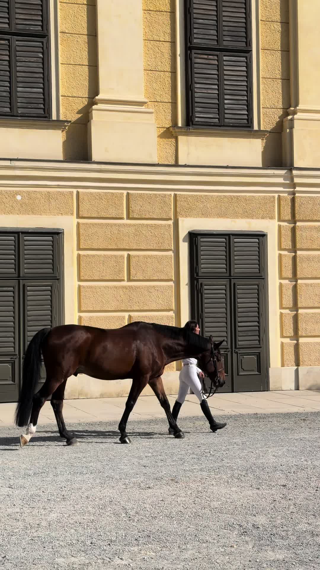@Longines Global Champions Tour