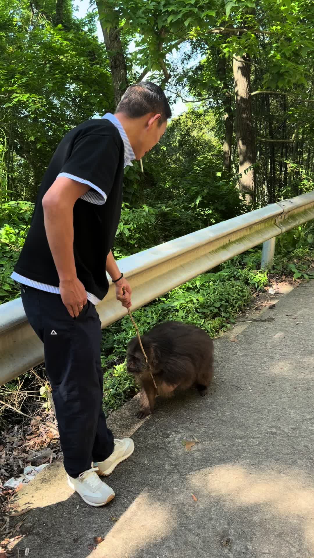 @xingxing.themonkey