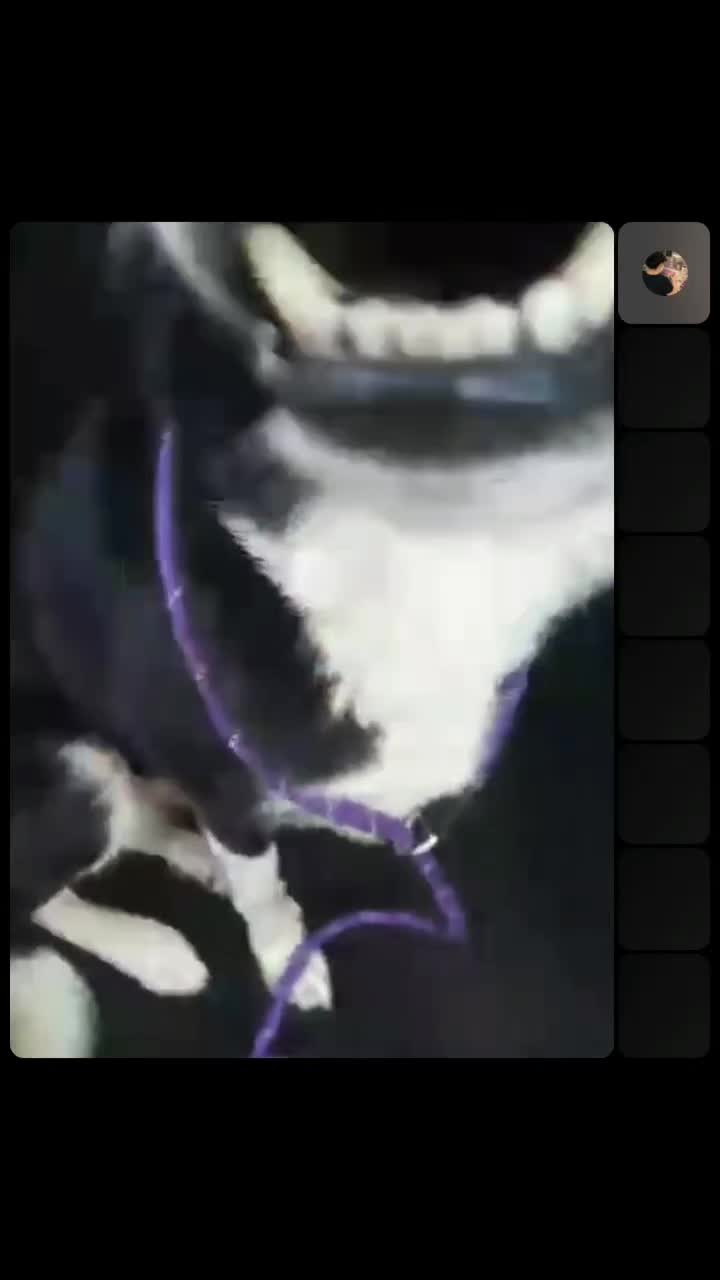 @Bordercollies Anonymous Club