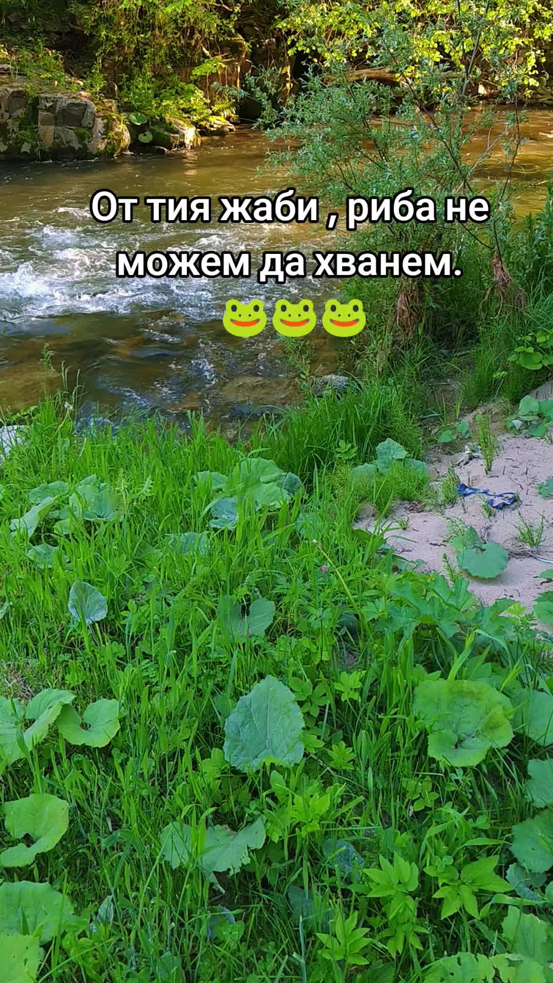 @Стоян 🇧🇬