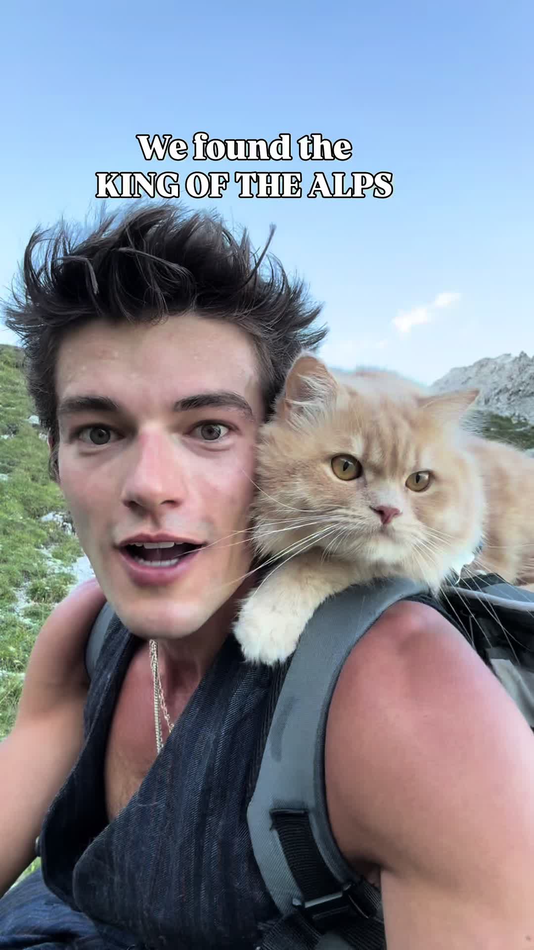 @peter_mai_