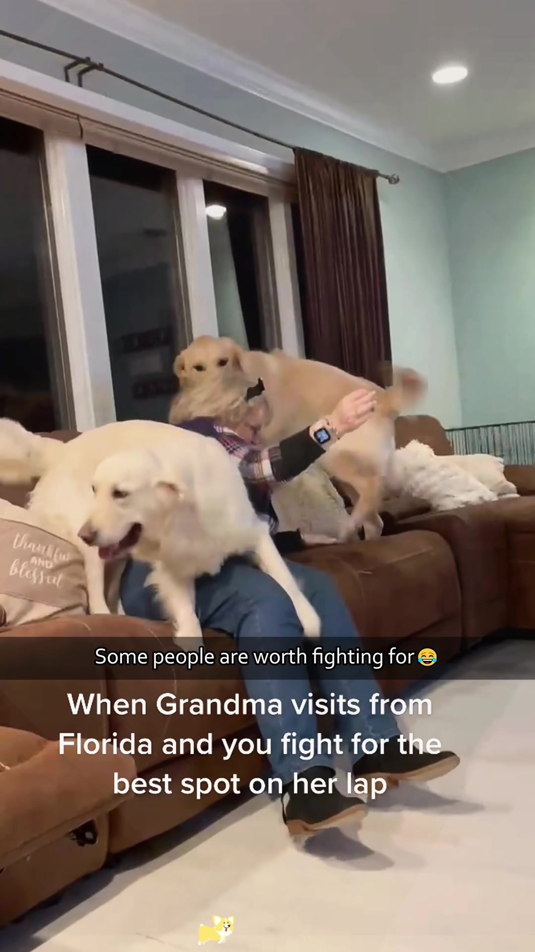 @SneakyFails