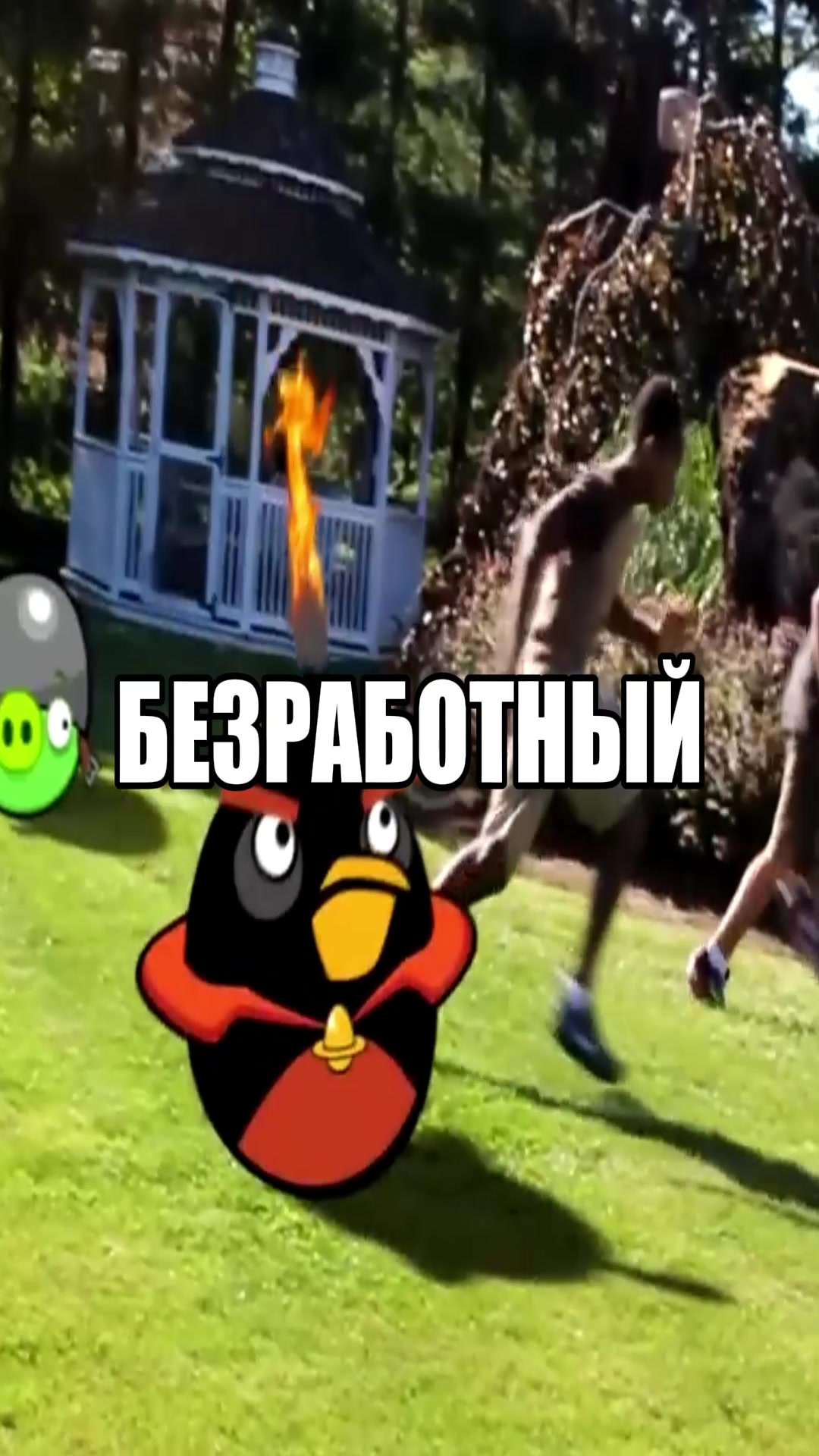 @Тгк: яйцафонк