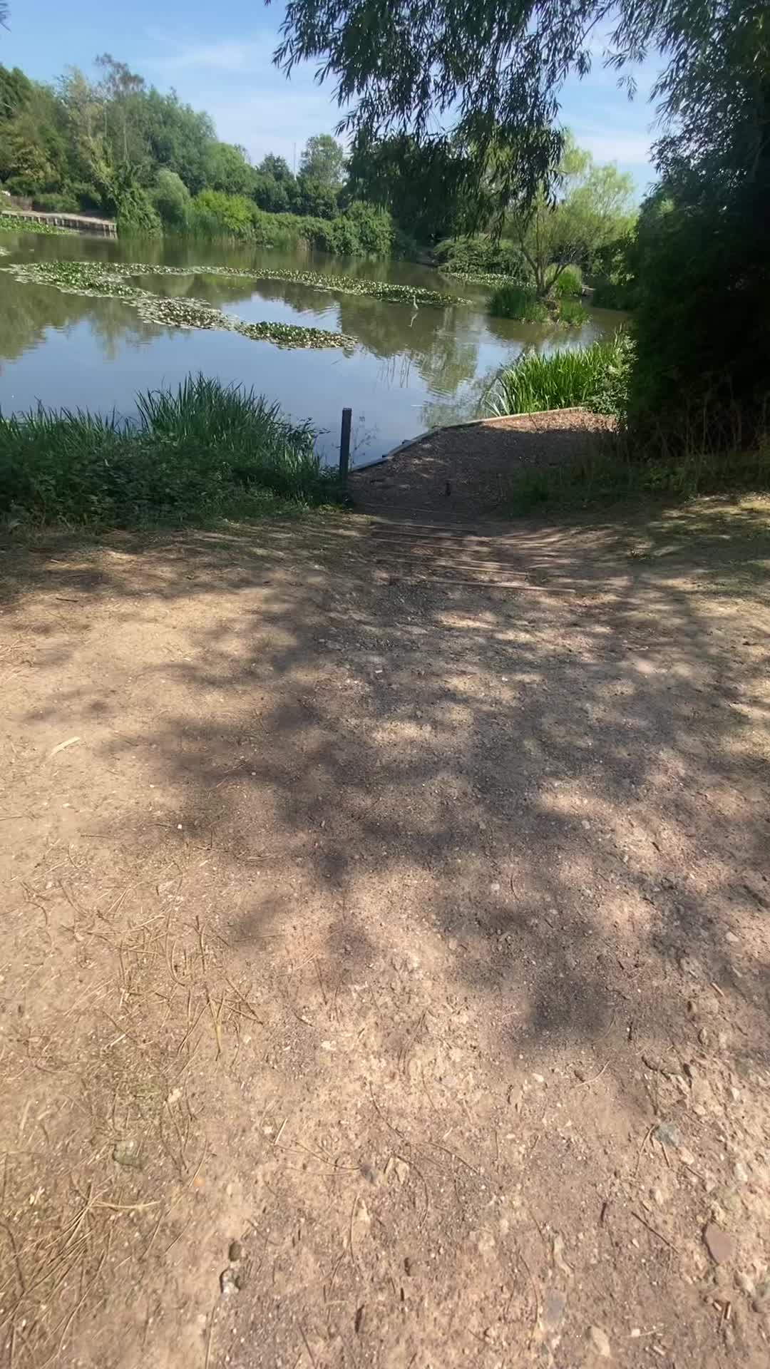 @Shellz Nature media therapy